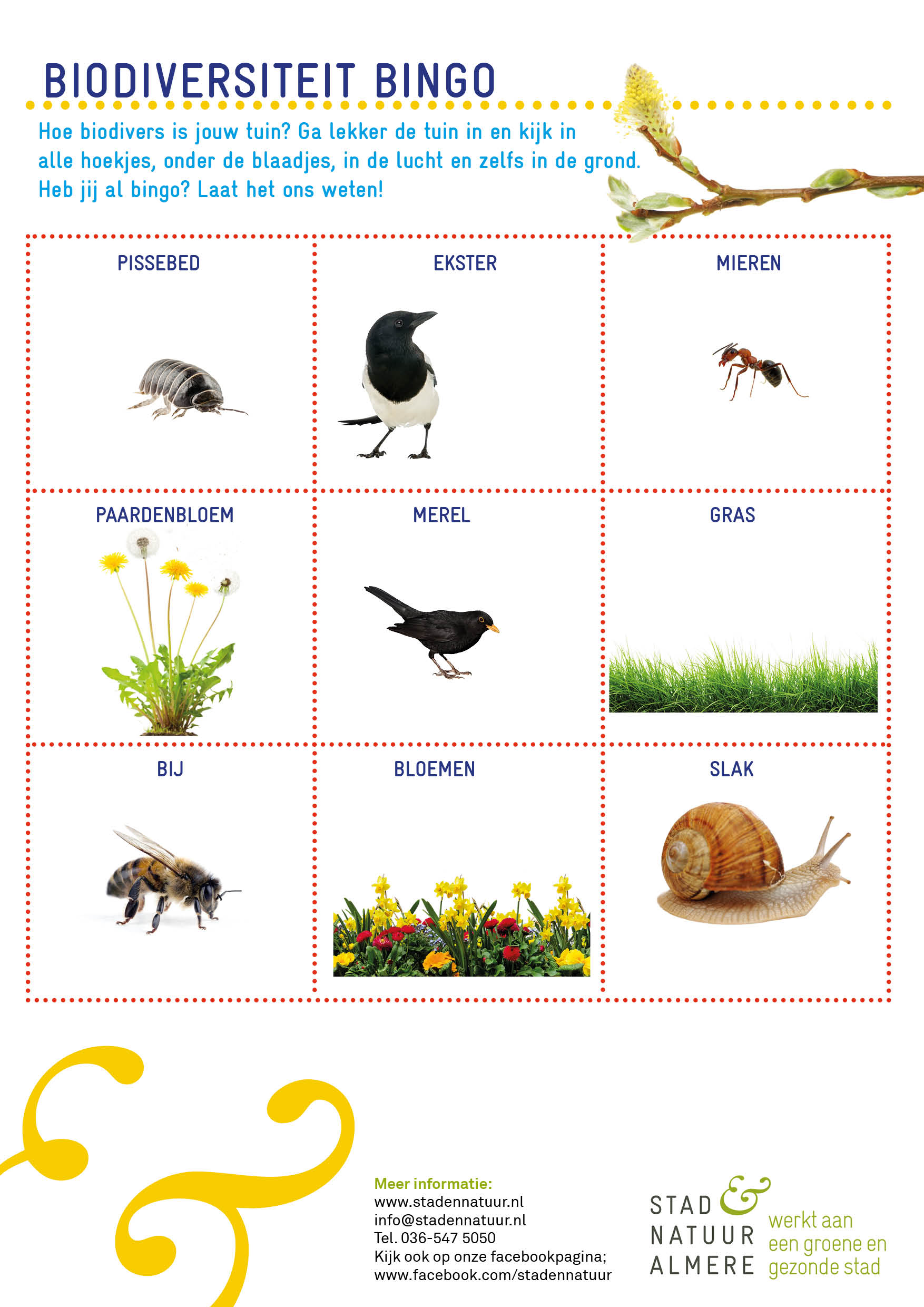 Bingokaart met diverse onderwerpen die je in de tuin kan vinden.
